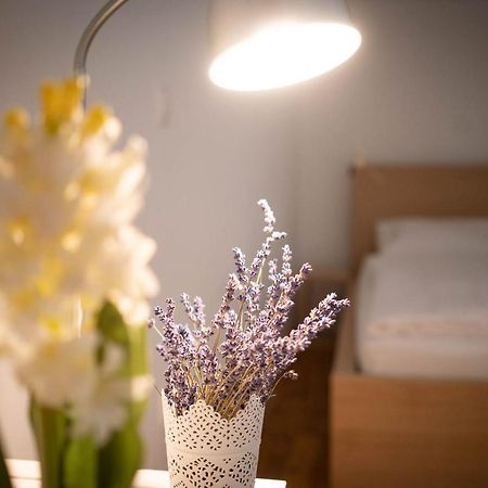 Free Parking! Linden Apartment, Ac, Smart Tv, Wifi 부다페스트 외부 사진